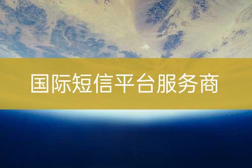 國際短信平臺(tái)服務(wù)商