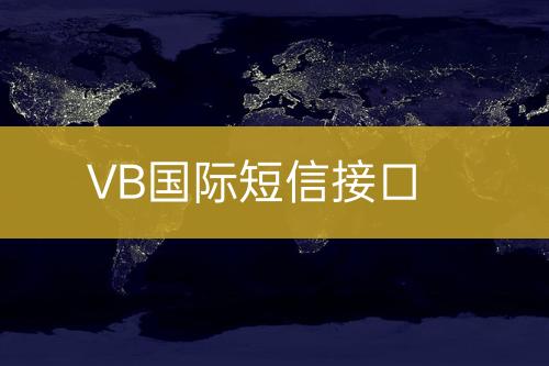 VB國際短信接口