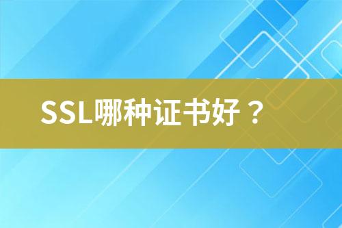 SSL哪種證書好？