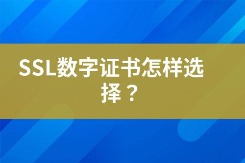 SSL數(shù)字證書怎樣選擇？