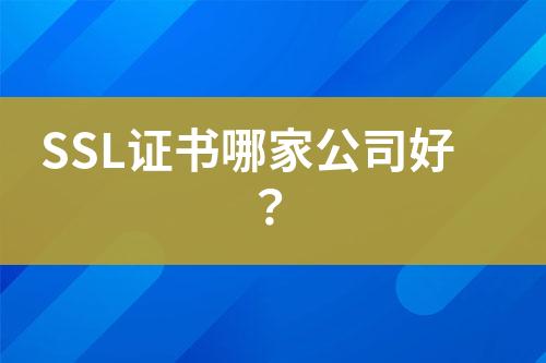 SSL證書哪家公司好？