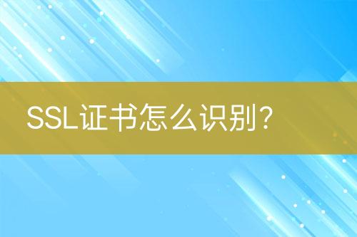 SSL證書怎么識別？