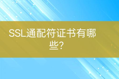 SSL通配符證書有哪些？