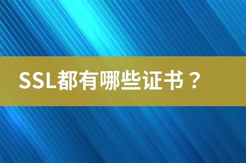 SSL都有哪些證書？