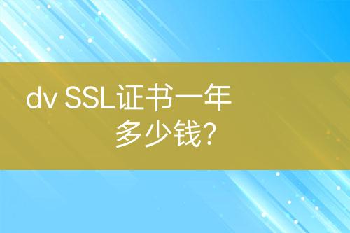 dv SSL證書一年多少錢？