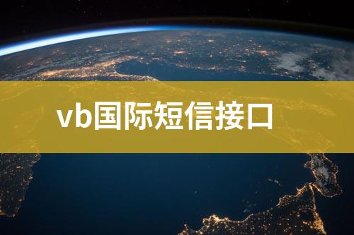 vb國際短信接口