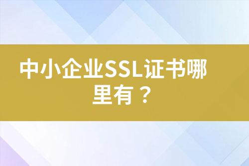 中小企業(yè)SSL證書哪里有？