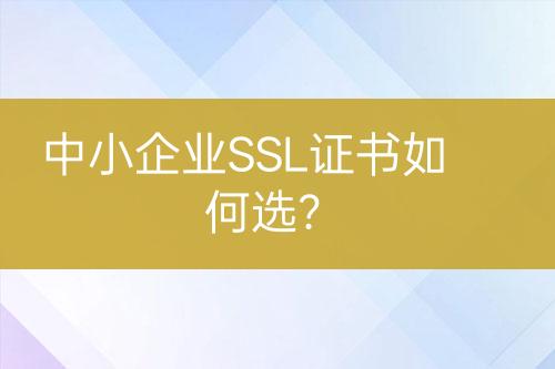 中小企業(yè)SSL證書(shū)如何選？