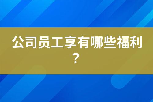 公司員工享有哪些福利？