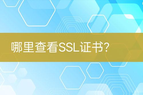 哪里查看SSL證書？