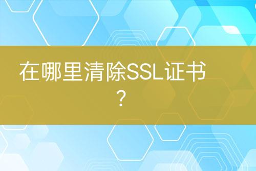 在哪里清除SSL證書？