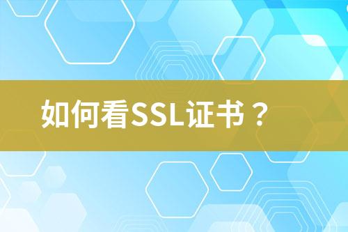 如何看SSL證書(shū)？