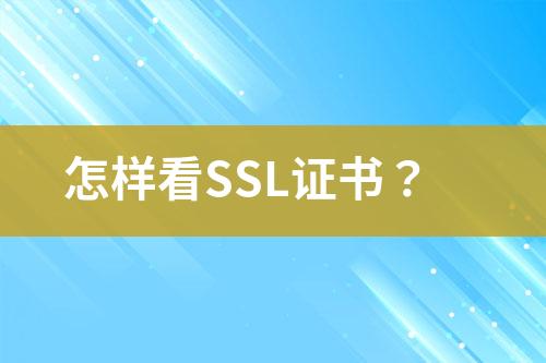 怎樣看SSL證書？