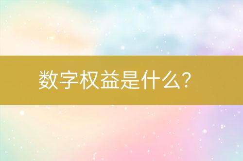 數(shù)字權(quán)益是什么？
