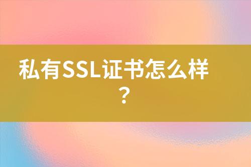 私有SSL證書怎么樣？