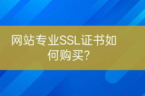 網(wǎng)站專業(yè)SSL證書如何購(gòu)買？