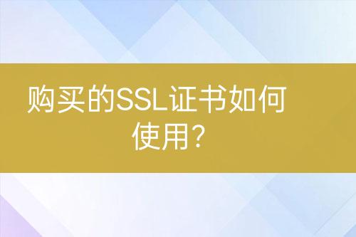 購買的SSL證書如何使用？